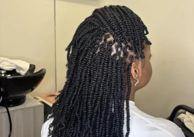 Affordable Braiding Hair Salon